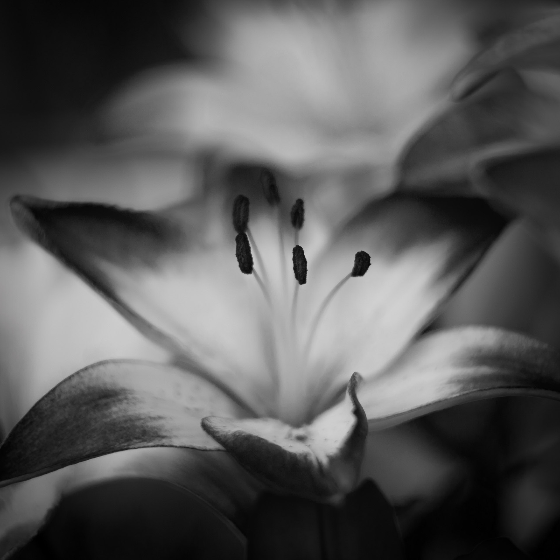 Photograph of A new lease of life by Alex Nichol