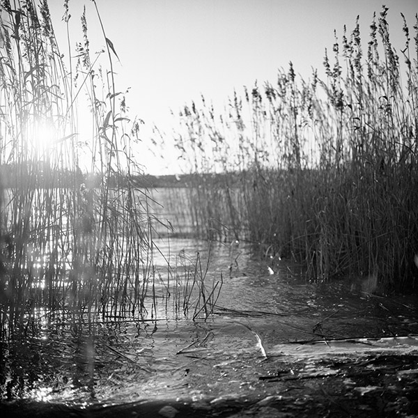 Photograph of Druridge Bay Country Park by Alex Nichol