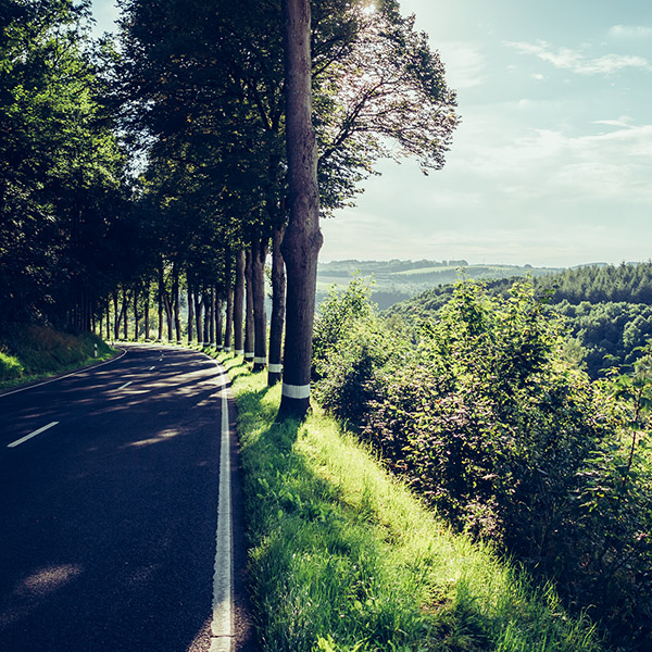 Photograph of Bruges to Clervaux by Alex Nichol