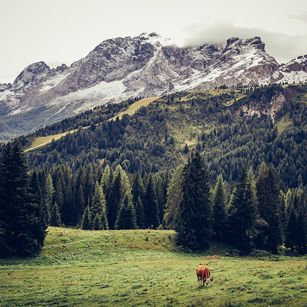 Photograph of South Tyrol by Alex Nichol