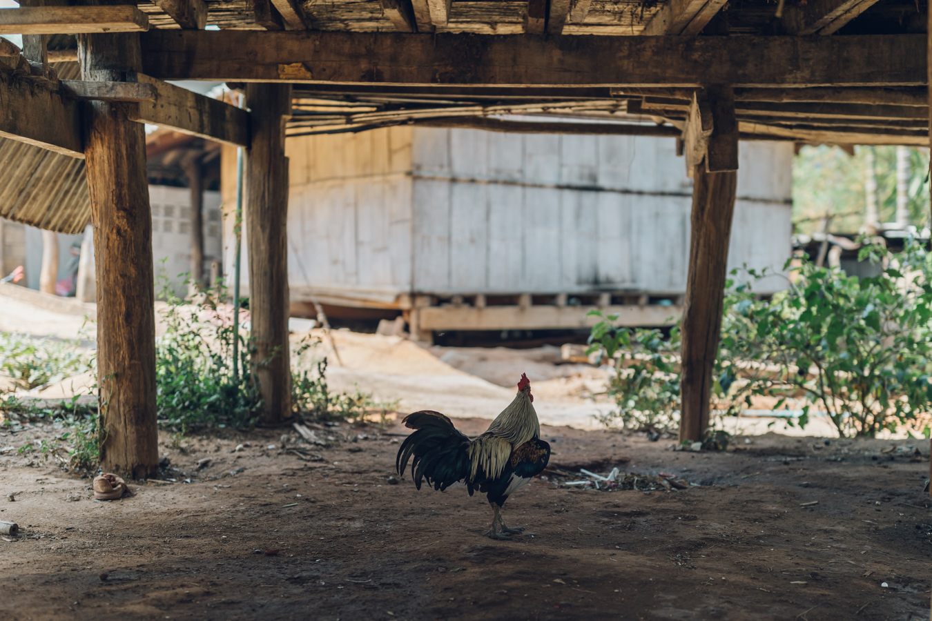 The Karen Hill Tribes, Chiang Mai, Thailand