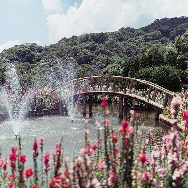 Photograph of Doi Inthanon by Alex Nichol