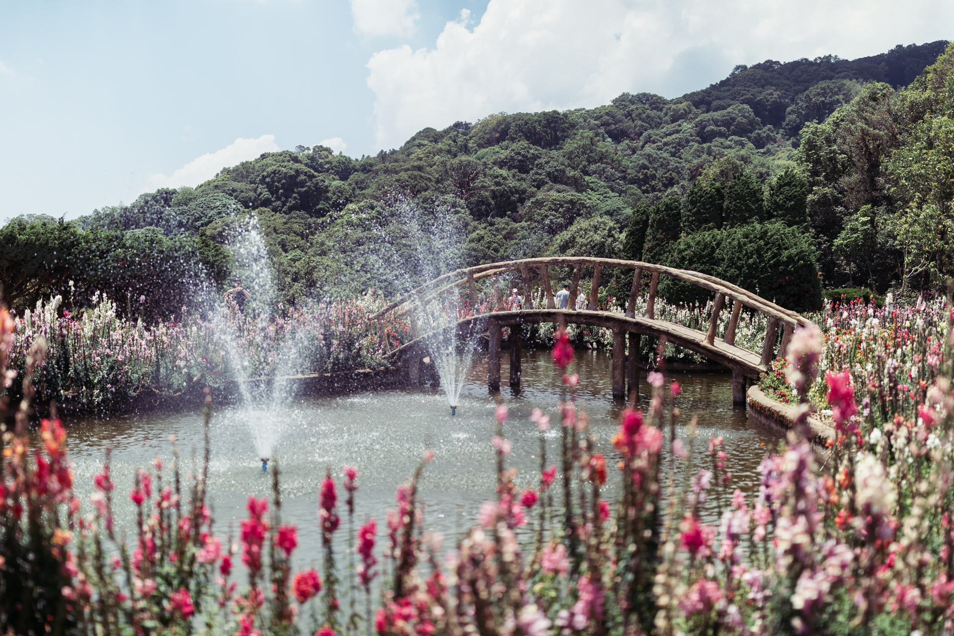 Photograph of Doi Inthanon by Alex Nichol