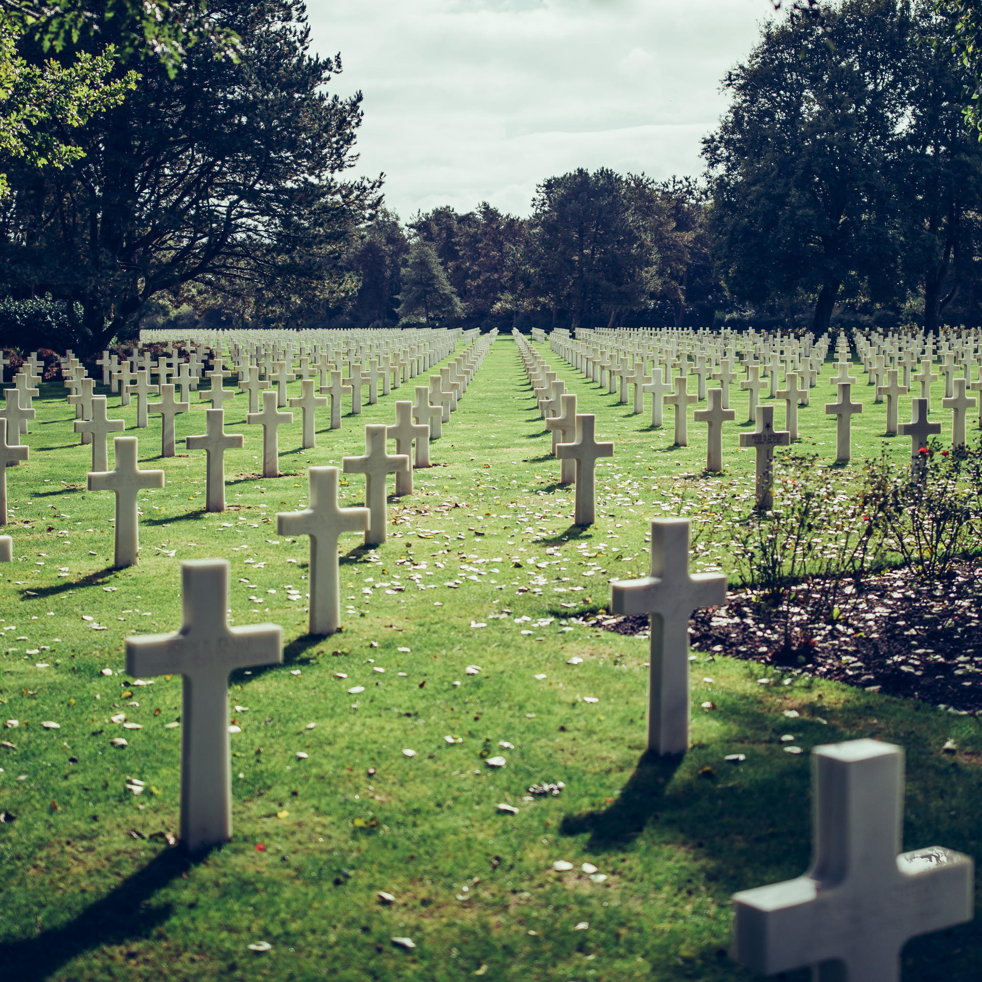 Photograph of Omaha Beach War Cemetery by Alex Nichol
