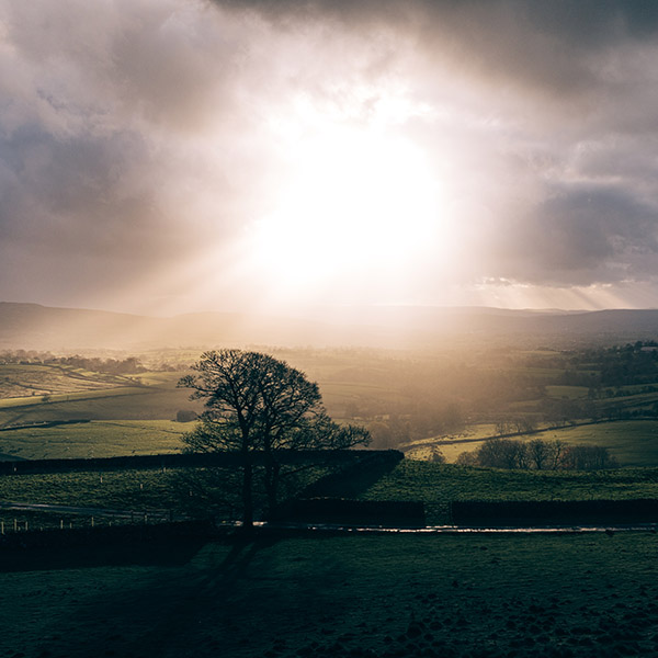 Photograph of The Road Home by Alex Nichol