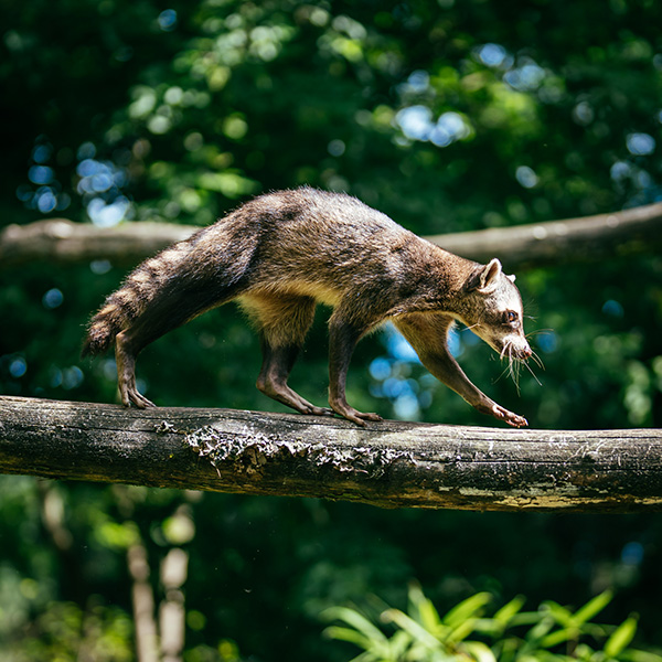 Photograph of ZooParc Overloon by Alex Nichol