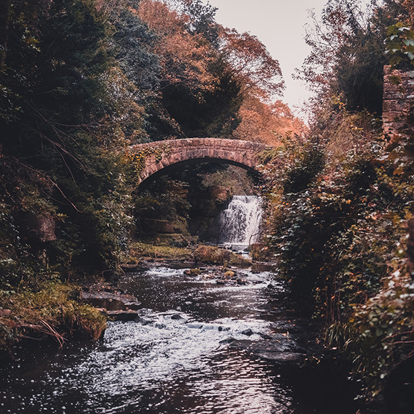 Photograph of Jesmond Dene by Alex Nichol
