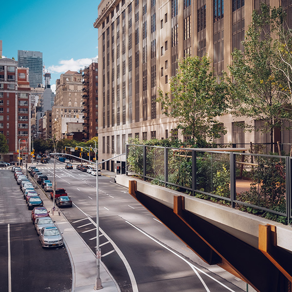 Photograph of High Line by Alex Nichol