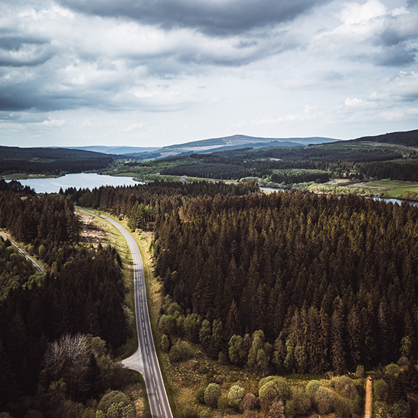 Photograph of Kielder Forest by Alex Nichol