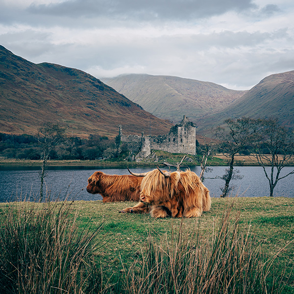 Photograph of Kilchurn Castle by Alex Nichol
